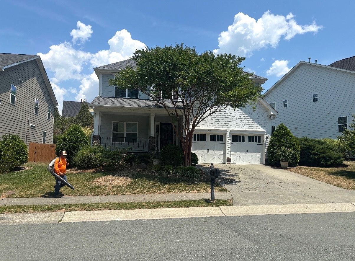 Same home after tree removal, opened up with full sunlight on the lawn