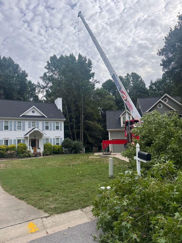 A crane set up between two houses for a large tree removal